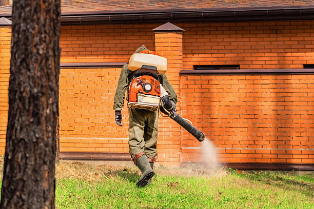 Trusted Fumigation Services service in Lakeshore, LA - Nex Pest Control